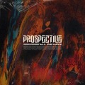 Cover-Bild zum Titel 'All We Have' von 'Prospective'
