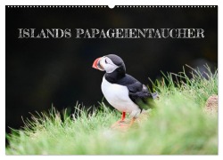 Cover-Bild zum Titel 'Islands Papageientaucher (Wandkalender 2026 DIN A2 quer), CALVENDO Monatskalender' von 'Johannes Tomaschko'
