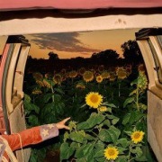 Cover-Bild zum Titel 'Little Wide Open' von 'Kevin Morby'