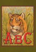 Cover-Bild zum Titel 'Carnet Blanc Abécedaire Tête de Tigre' von 'Sans Auteur'