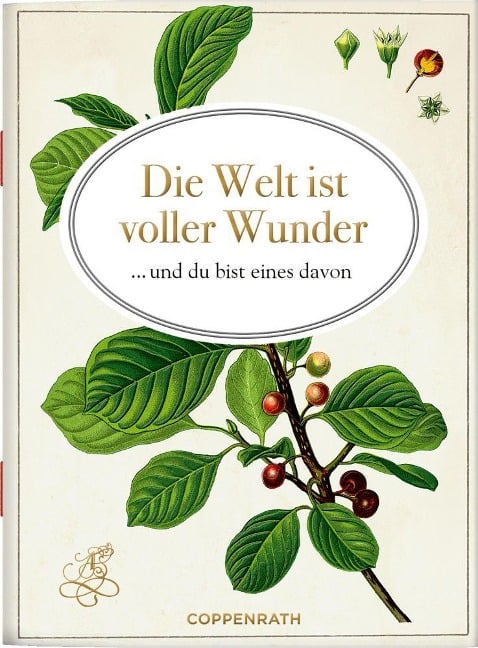 Die Welt ist voller Wunder - 