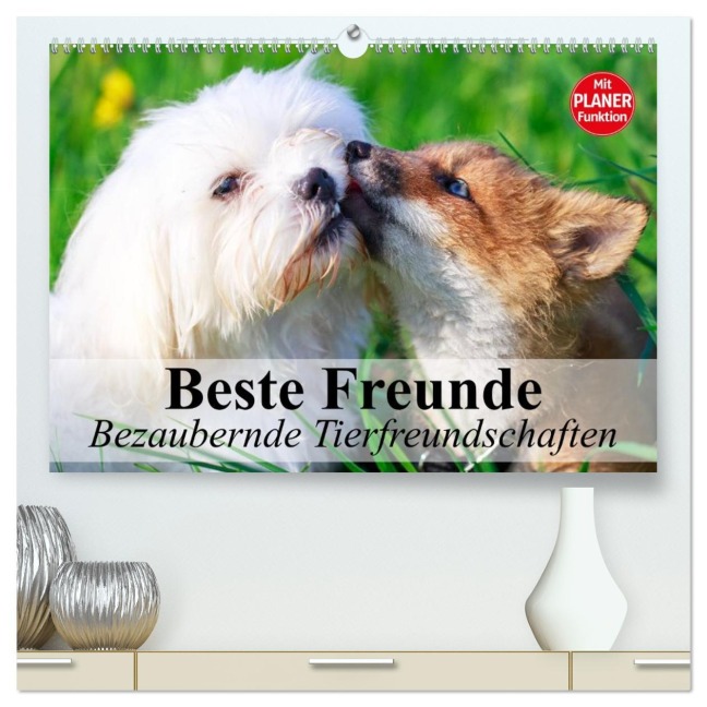 Beste Freunde. Bezaubernde Tierfreundschaften (hochwertiger Premium Wandkalender 2026 DIN A2 quer), Kunstdruck in Hochglanz - Elisabeth Stanzer