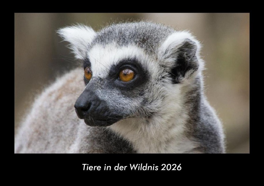 Tiere in der Wildnis 2026 Fotokalender DIN A3 - Tobias Becker