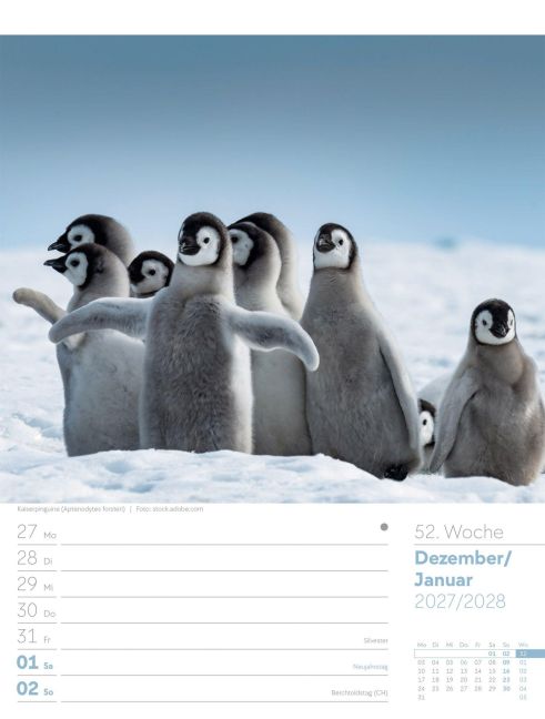 InsideView 56