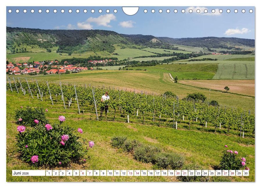 InsideView 11