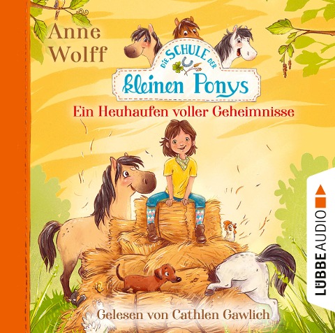 Ein Heuhaufen voller Geheimnisse - Anne Wolff