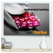 Cover-Bild zum Titel 'schwarz/weiß trifft farbe (hochwertiger Premium Wandkalender 2026 DIN A2 quer), Kunstdruck in Hochglanz' von 'Cathrin Kaden'