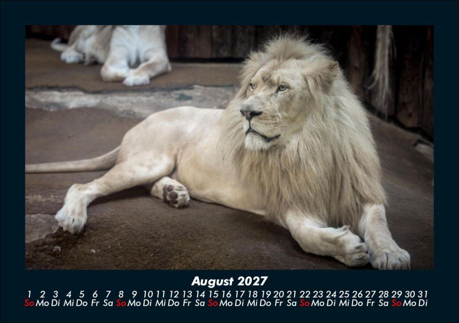 InsideView 12