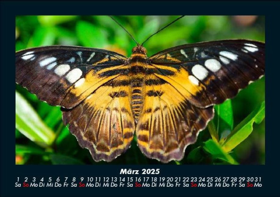 InsideView 7