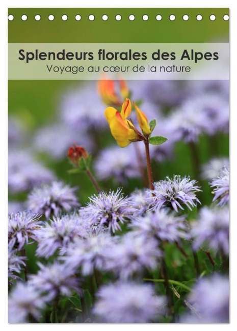 Splendeurs florales des Alpes - Voyage au c¿ur de la nature (Calendrier de bureau 2026 DIN A5 horizontal), CALVENDO calendrier mensuel - Thomas Martzel