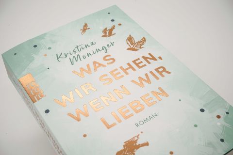 InsideView 3