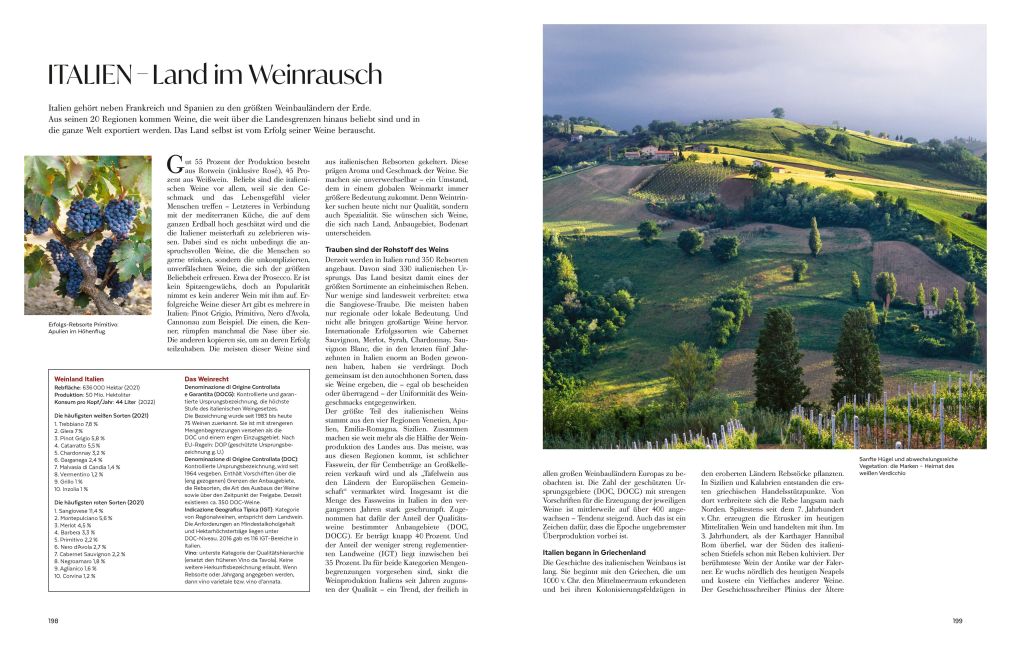 InsideView 12