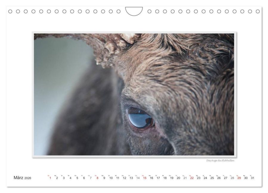 InsideView 8