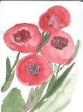 Cover-Bild zum Titel 'Aumrys Wintergeschichte' von 'Karin Hackbart'