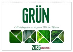 Cover-Bild zum Titel 'Grün Makrofotografien aus der grünen Welt der Pflanzen als Monatsplaner (Wandkalender 2026 DIN A2 quer), CALVENDO Monatskalender' von 'Kirsten d'Angelo - soulimages'