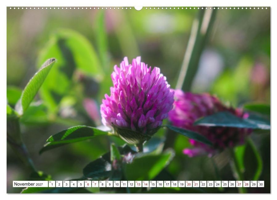 InsideView 3