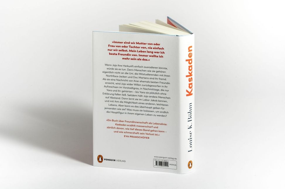 InsideView 3