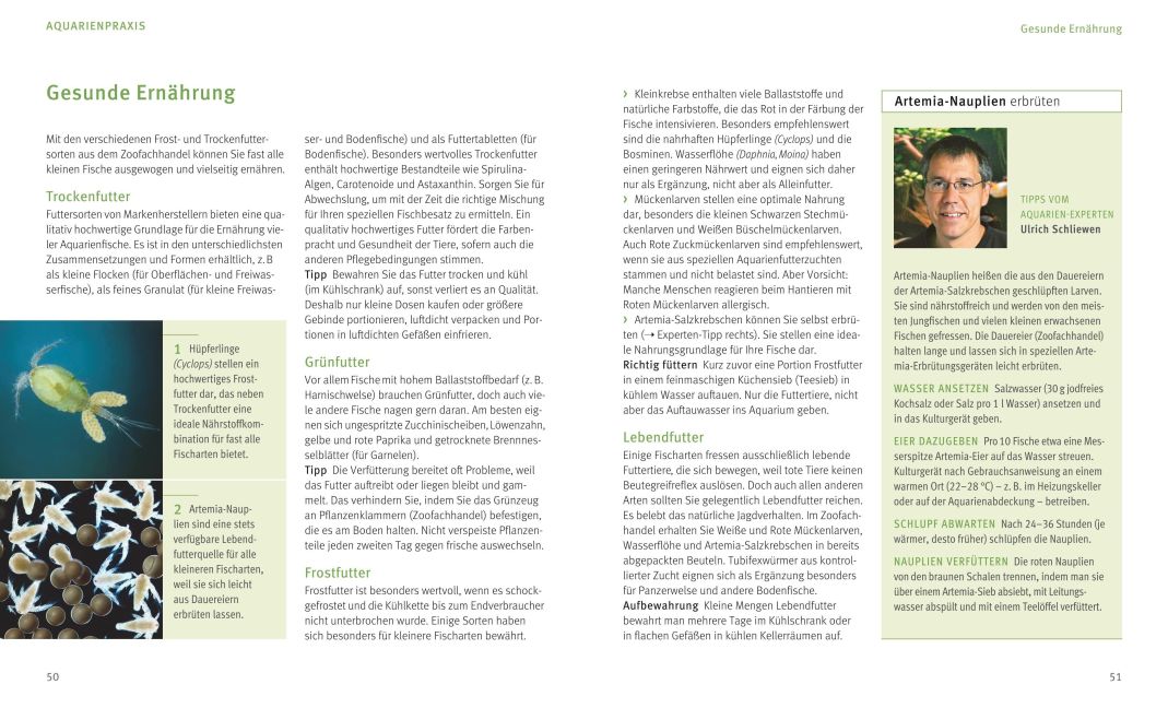 InsideView 6