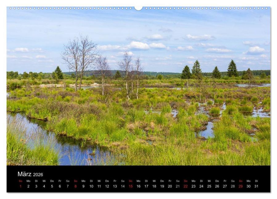 InsideView 7