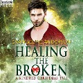 Cover-Bild zum Titel 'Healing the Broken' von 'Evangeline Anderson'