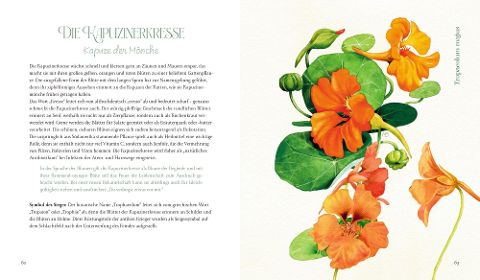 InsideView 13