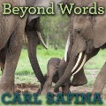 Beyond Words: What Animals Think and Feel - Carl Safina