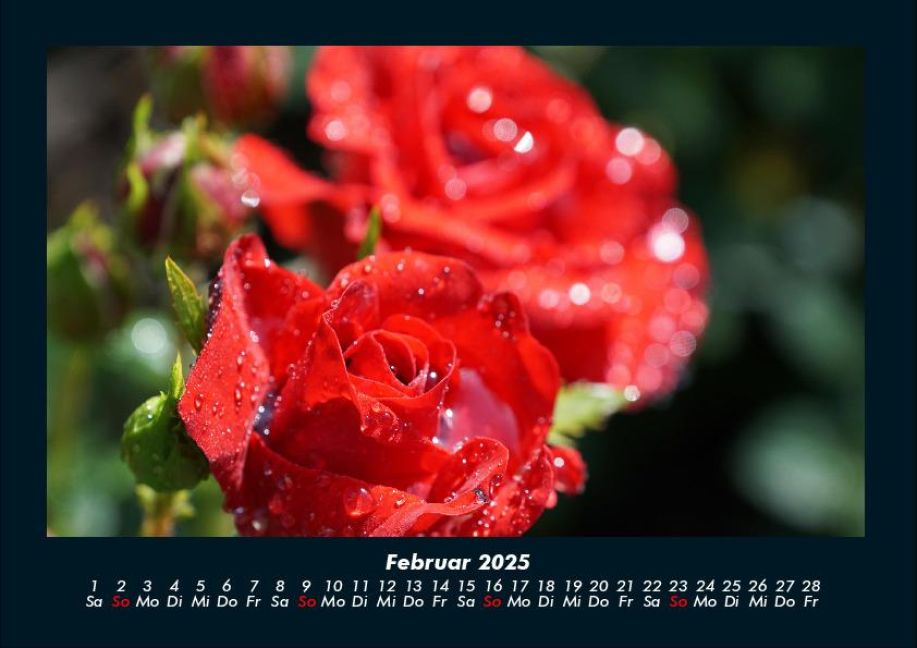 InsideView 6