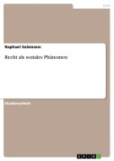 Cover-Bild zum Titel 'Recht als soziales Phänomen' von 'Raphael Salzmann'