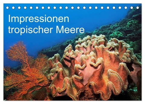 Impressionen tropischer Meere (Tischkalender 2024 DIN A5 quer), CALVENDO Monatskalender - Martin Rauchenwald