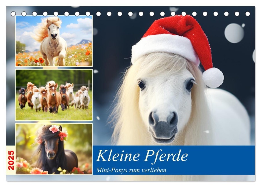 Kleine Pferde. Mini-Ponys zum verlieben (Tischkalender 2025 DIN A5 quer), CALVENDO Monatskalender - Rose Hurley