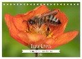 Insekten - Kleine Helfer unseres Lebens (Tischkalender 2024 DIN A5 quer), CALVENDO Monatskalender - Nikolai Röttger
