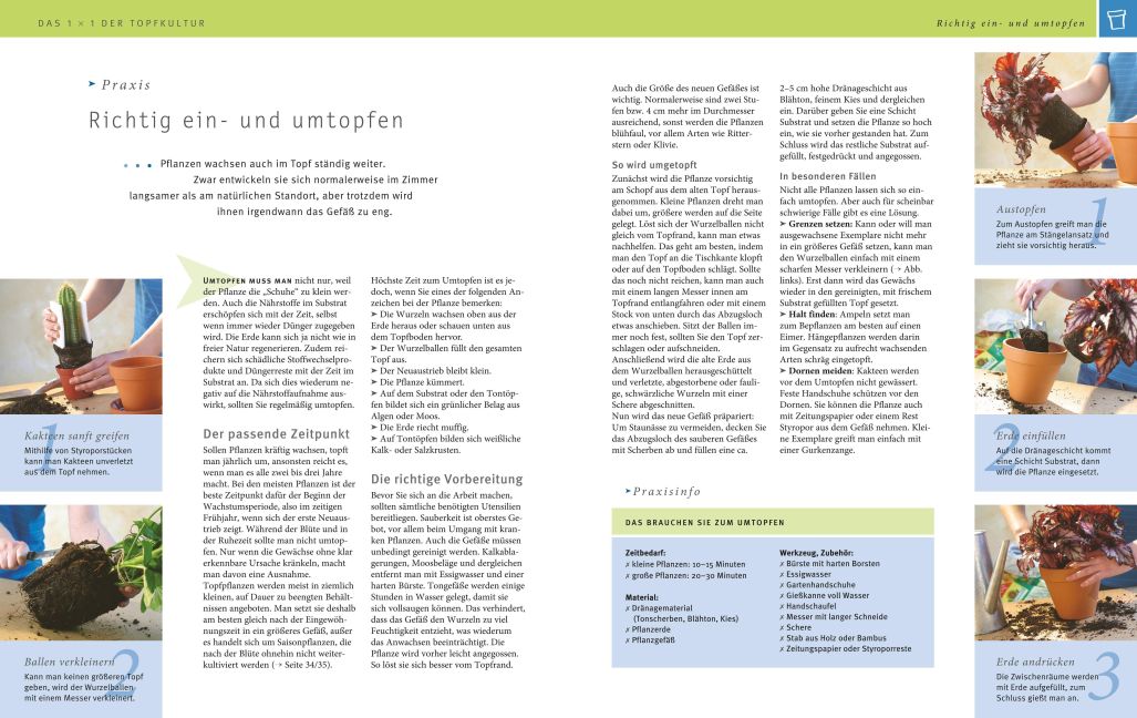 InsideView 3
