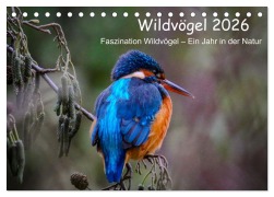 Cover-Bild zum Titel 'Wildvögel 2026 (Tischkalender 2026 DIN A5 quer), CALVENDO Monatskalender' von 'Florian Freiberg Photography'