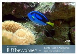 Cover-Bild zum Titel 'Riffbewohner - Bunte Fische, Anemonen und noch viel mehr (Wandkalender 2026 DIN A2 quer), CALVENDO Monatskalender' von 'Bianca Schumann'