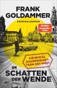 Cover-Bild zum Titel 'Im Schatten der Wende' von 'Frank Goldammer'
