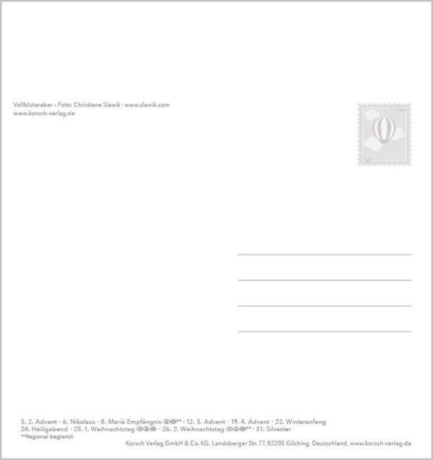 InsideView 13