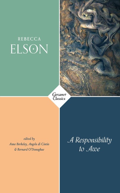 A Responsibility to Awe - Rebecca Elson