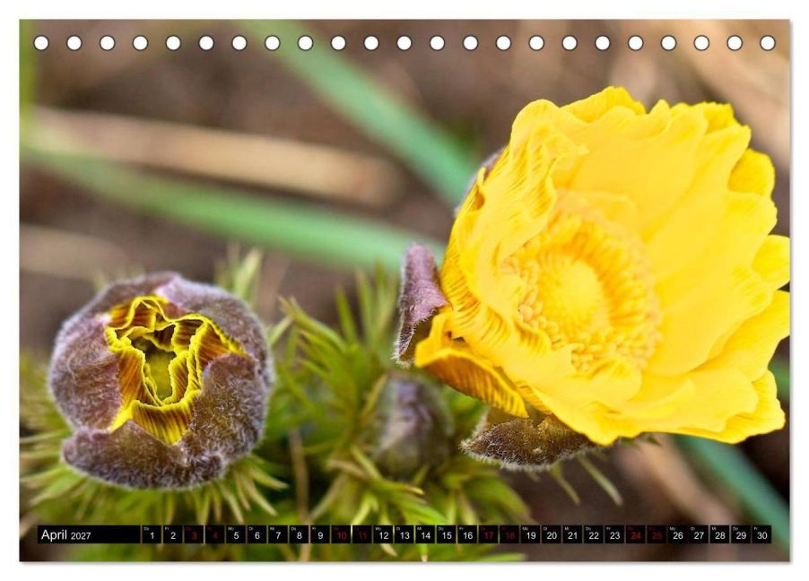 InsideView 9