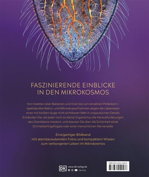 InsideView 11