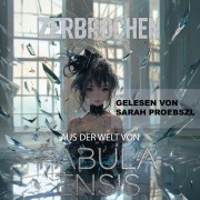 Cover-Bild zum Titel 'Aus der Welt von Fabula Ensis' von 'DeSade Kucharzak, DeSade Kucharzak'