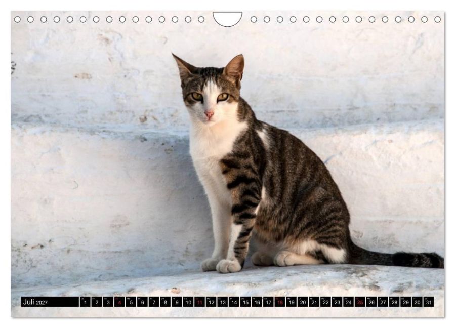 InsideView 12