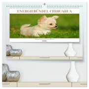 Cover-Bild zum Titel 'Enegiebündel Chihuahua - Temperament auf vier Pfoten (hochwertiger Premium Wandkalender 2026 DIN A2 quer), Kunstdruck in Hochglanz' von 'Sigrid Starick'