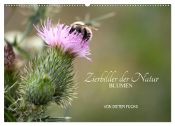Cover-Bild zum Titel 'Zierbilder der Natur BLUMEN (Wandkalender 2026 DIN A2 quer), CALVENDO Monatskalender' von 'Dieter Fuchs'