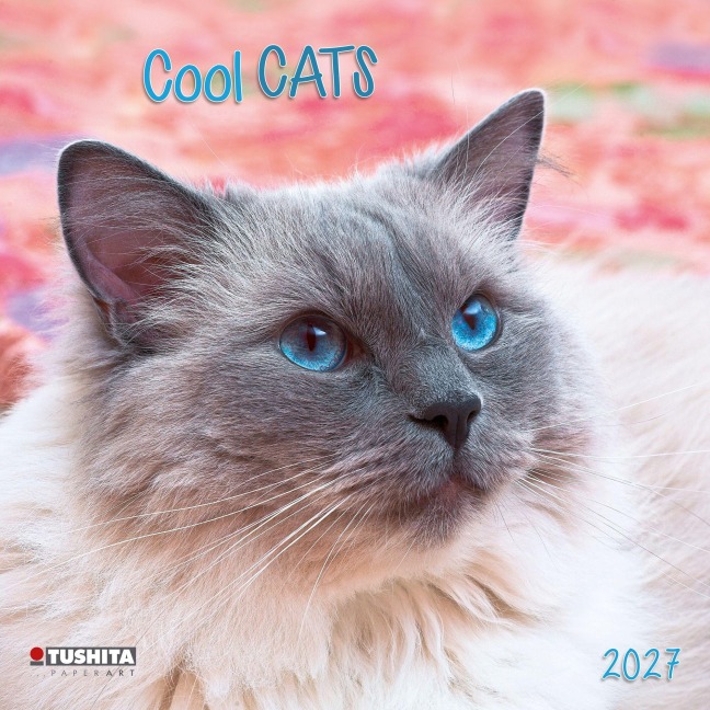 Cool Cats 2027 - 