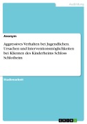 Cover-Bild zum Titel 'Aggressives Verhalten bei Jugendlichen. Ursachen und Interventionsmöglichkeiten bei Klienten des Kinderheims Schloss Schlotheim' von ''