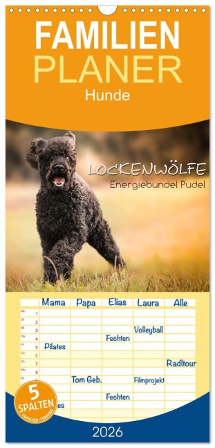 Familienplaner 2026 - Lockenwölfe - Energiebündel Pudel mit 5 Spalten (Wandkalender, 21 x 45 cm) CALVENDO - Alexandra Hollstein