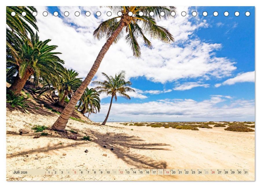 InsideView 12