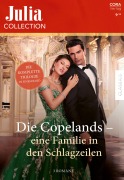 Cover-Bild zum Titel 'Julia Collection Band 214' von 'Jane Porter'