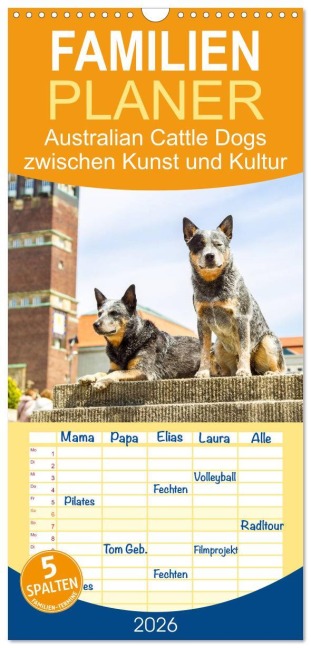 Familienplaner 2026 - Australian Cattle Dogs zwischen Kunst und Kultur mit 5 Spalten (Wandkalender, 21 x 45 cm) CALVENDO - Fotodesign Verena Scholze