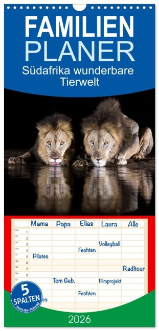 Familienplaner 2026 - Südafrika wunderbare Tierwelt mit 5 Spalten (Wandkalender, 21 x 45 cm) CALVENDO - Michèle Junio